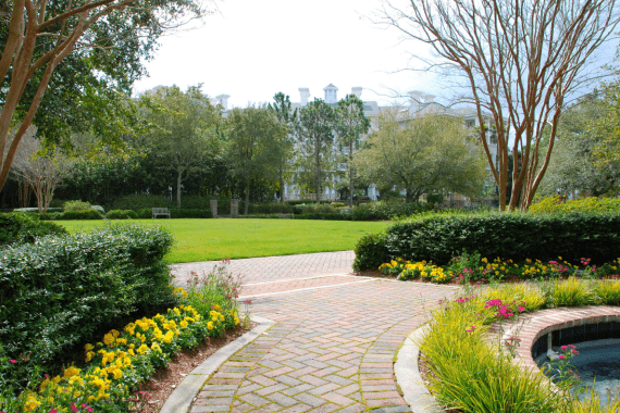 Damian's Landscaping