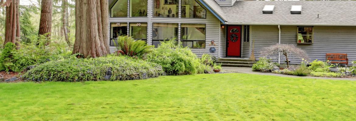 Damian's Landscaping