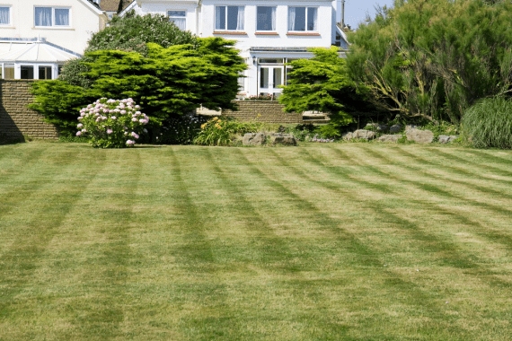 Damian's Landscaping